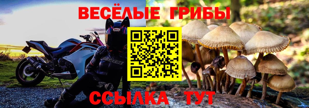 Псилоцибиновые грибы ЛСД  купить наркотик  Каменск-Уральский  Галлюциногенные грибы Psilocybine cubensis  Вход с VPN 