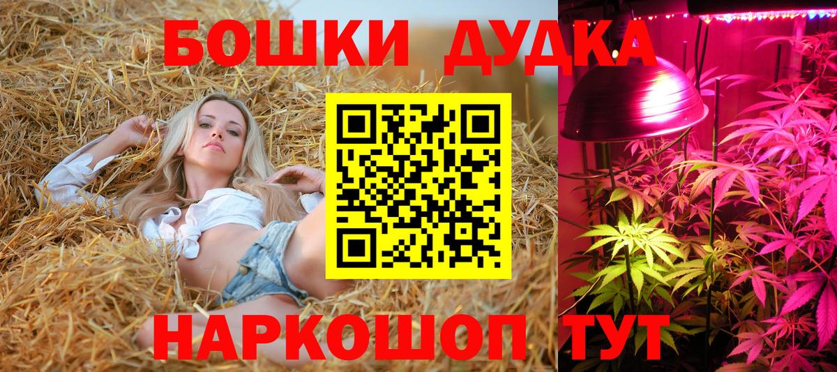 Бошки Шишки семена Каменск-Уральский